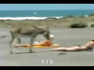 Duok pamotę, bet būk namie.