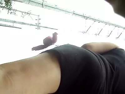 Pasivaikščiojimas vandenynu ir merginų duobėmis.